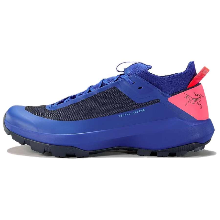 Arcteryx Arc'teryx VERTEX ALPINE Slip Resistant, Abrasion Resistant, Lightweight Low top Hiking Shoes Unisex Blue
