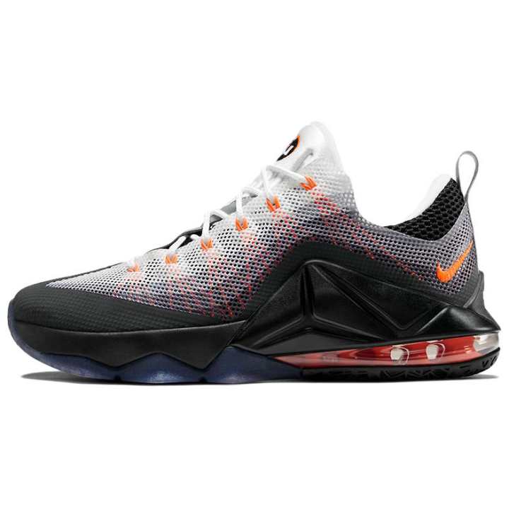 Nike Nike Air Max 95 LeBron 12 Low
