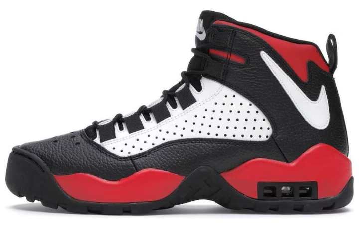 Nike Nike Air Darwin Bulls