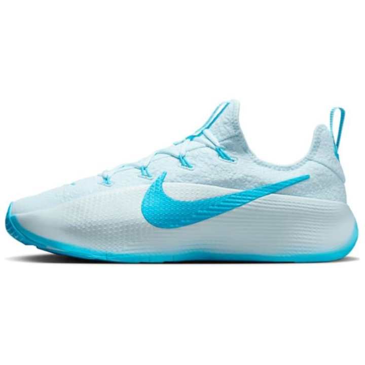 Nike Nike LeBron TR 1 Low top Basketball Shoes Unisex Blue