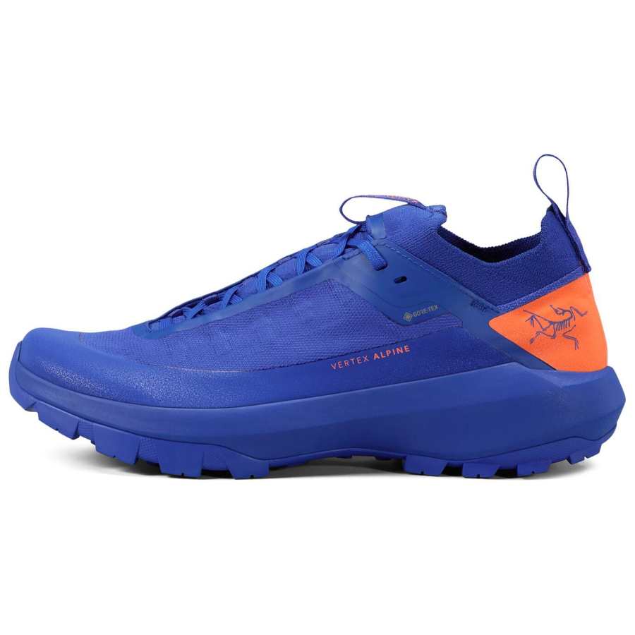Arcteryx Arc'teryx VERTEX ALPINE Slip Resistant Abrasion Resistant Low top Hiking Shoes Men's Blue
