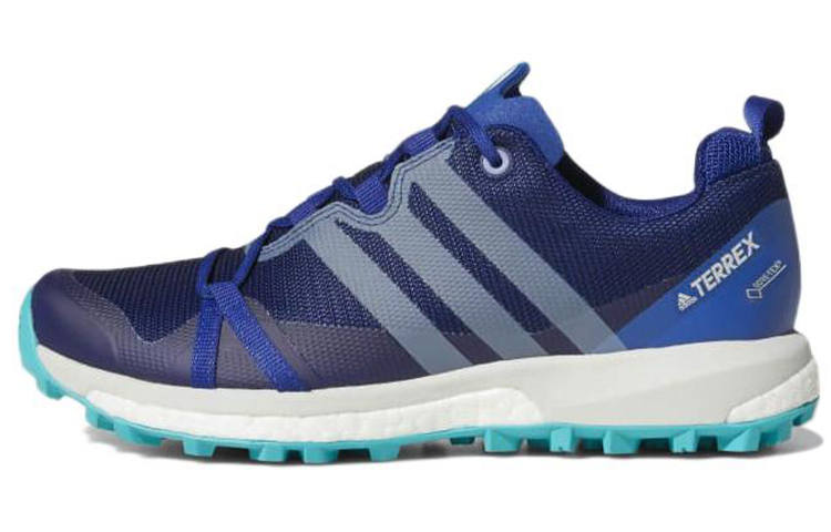 Adidas Adidas Terrex Agravic GTX Abrasion Resistant Low top Hiking Shoes Women's Blue