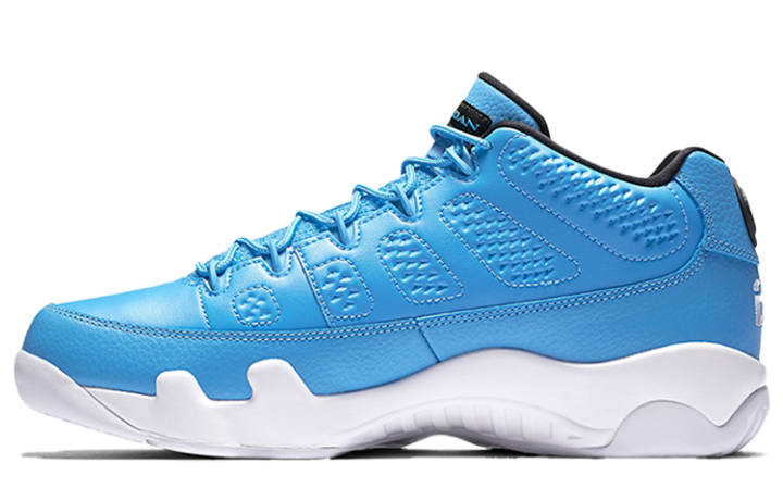 Jordan Jordan 9 Retro Low Pantone