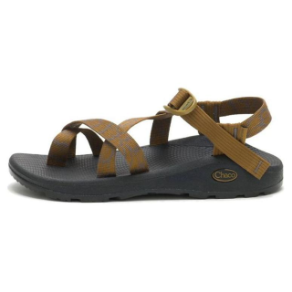 Chaco Beach Sandals Men's Horizon Bronze