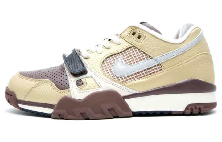 Nike Nike Air Trainer 2 Sb Metallic Gold/Reflect Silver