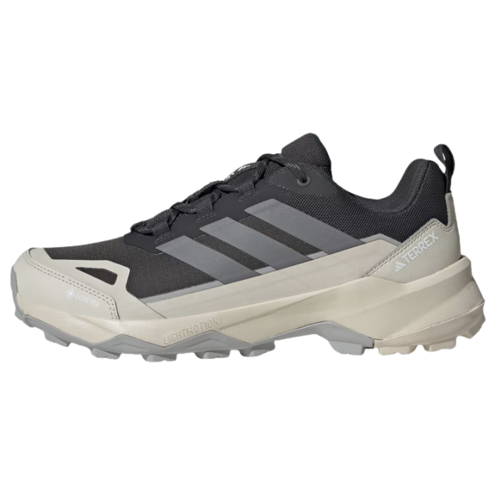 Adidas Terrex Skychaser Adidas AX5 GORE-TEX 'Carbon Alumina'