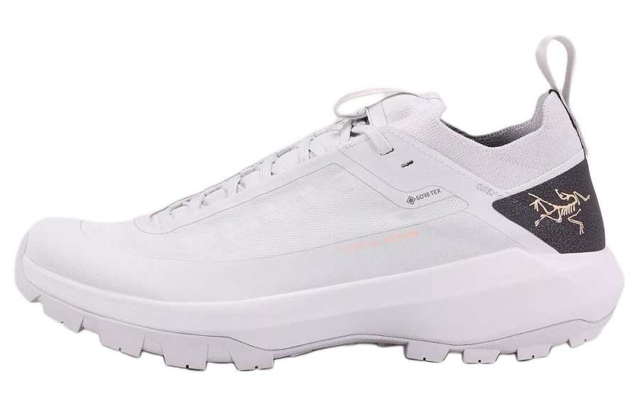Arcteryx Arc'teryx VERTEX Low top Mountaineering & Hiking Shoes Men's Gray