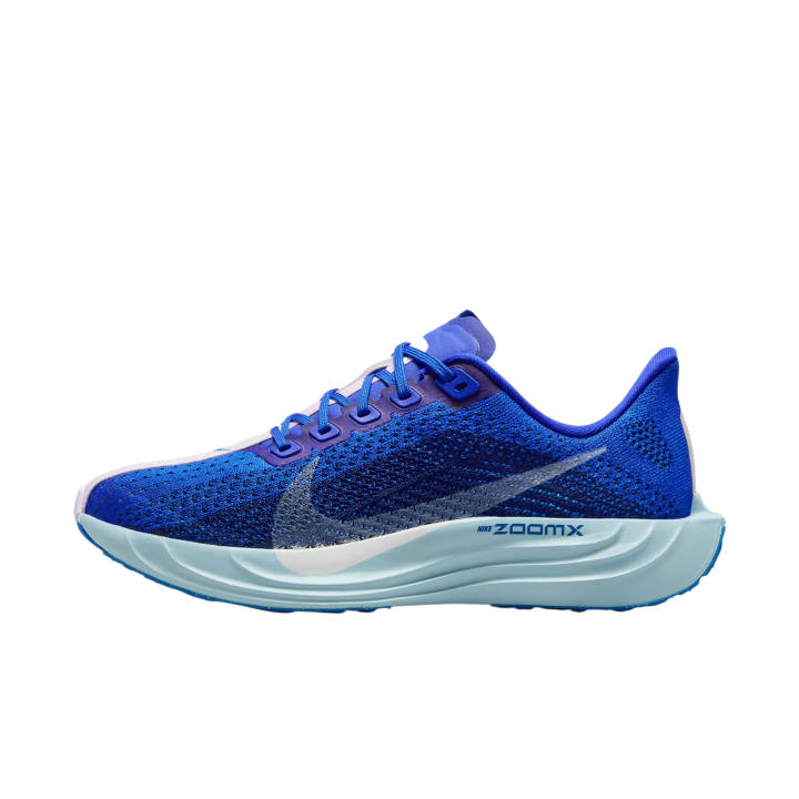 Nike Nike Pegasus Plus Cushioning Low top Running Shoes Women's