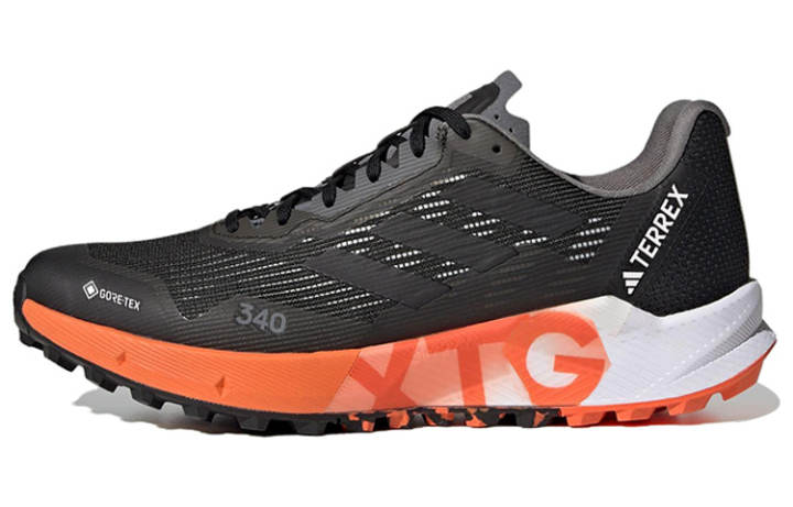 Adidas Adidas Terrex Agravic Flow 2.0 Flow Gore Tex 'Black White'