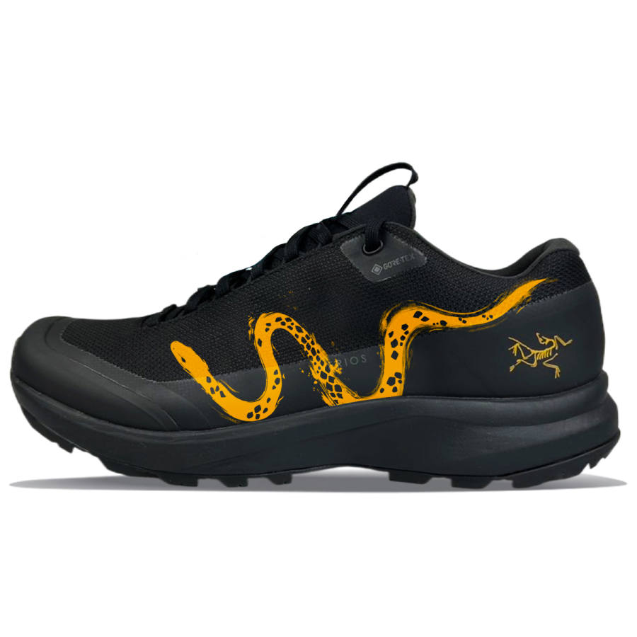 Arcteryx Arc'teryx Aerios Fl 2 Abrasion Resistant Abrasion Resistant Low top Outdoor Shoes Unisex Black