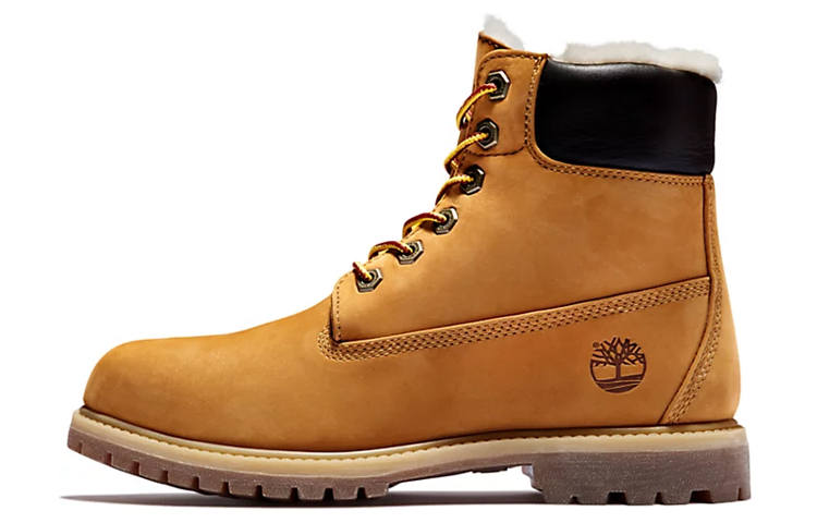 Timberland PREMIUM Knee High Outdoor Boots Women's Brown