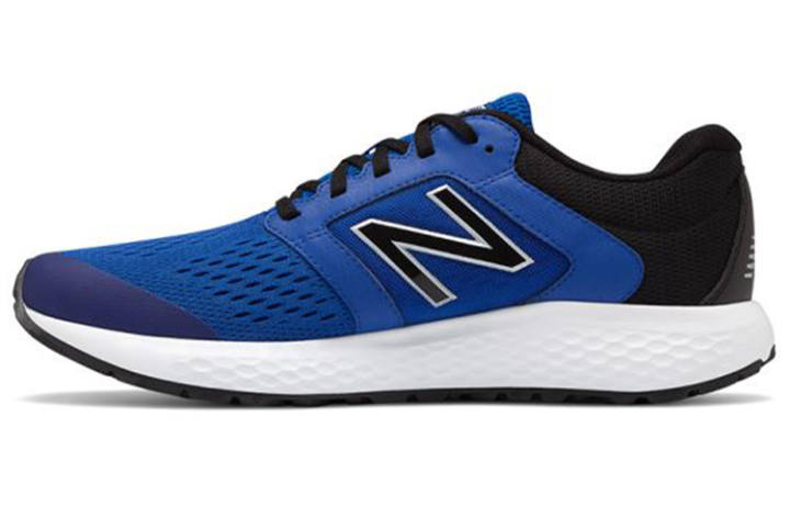 New Balance New Balance 520 V5 Blue