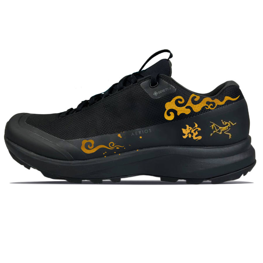Arcteryx Arc'teryx Aerios Fl 2 Abrasion Resistant Abrasion Resistant Low top Outdoor Shoes Unisex Black
