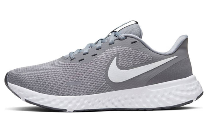Nike Nike Revolution 5 'Cool Grey' Women's