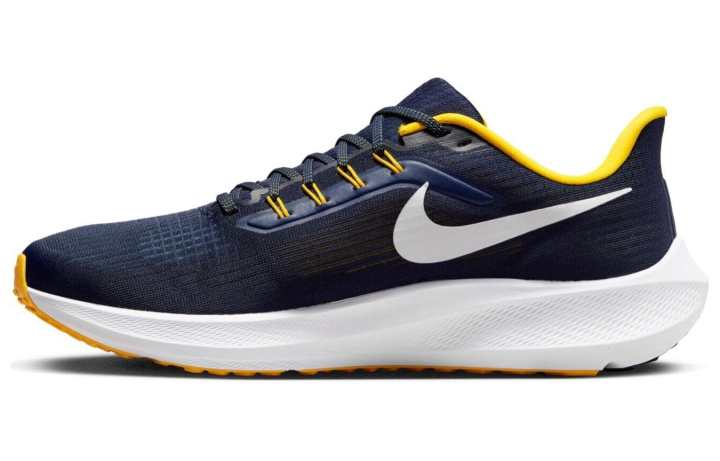 Nike Nike Air Zoom Pegasus 39 'Michigan'