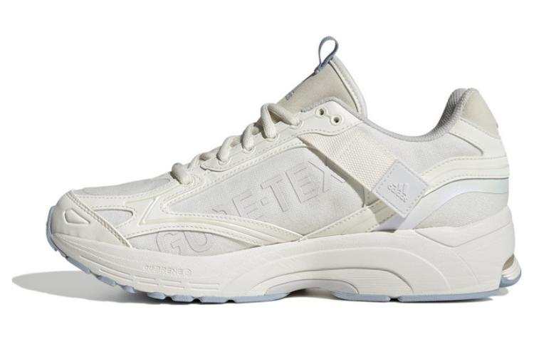Adidas Adidas Spiritain 2000 GORE-TEX 'Clear White Wonder Blue' Women's