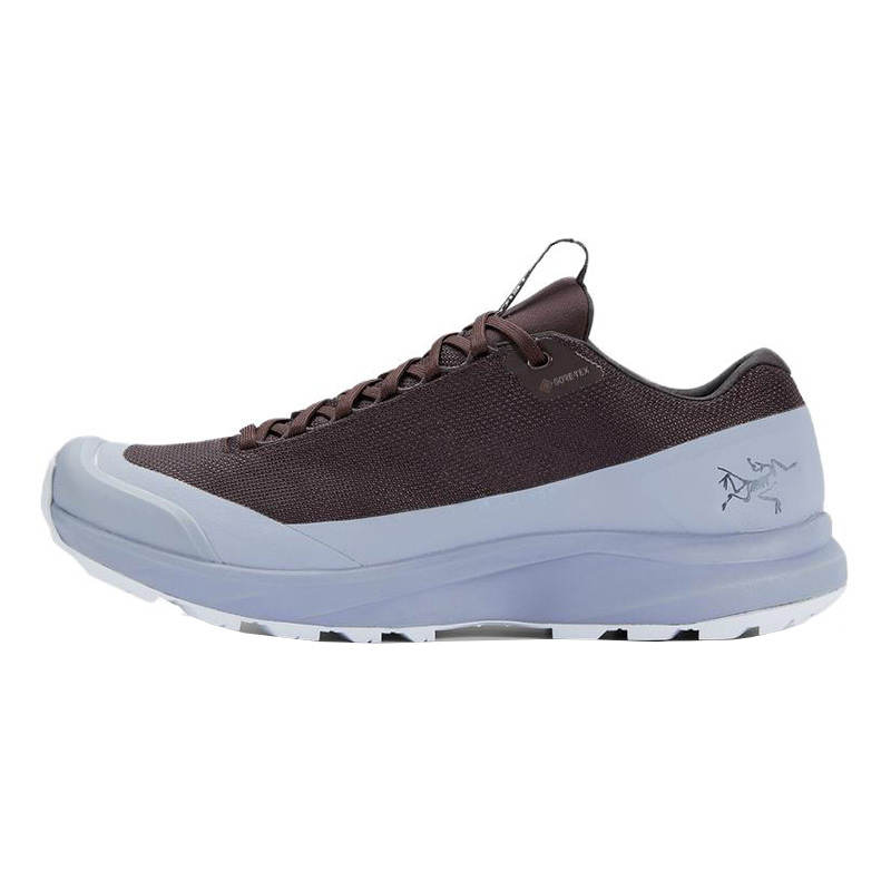 Arcteryx Arc'teryx Aerios FL 2 GTX Cushioning Slip Resistant Abrasion Resistant Low top Outdoor Shoes Unisex Brown Gray