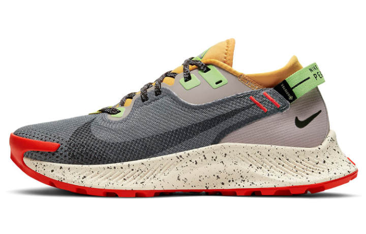 Nike Nike Pegasus Trail 2 Gore Tex Smoke Grey Bucktan Women's