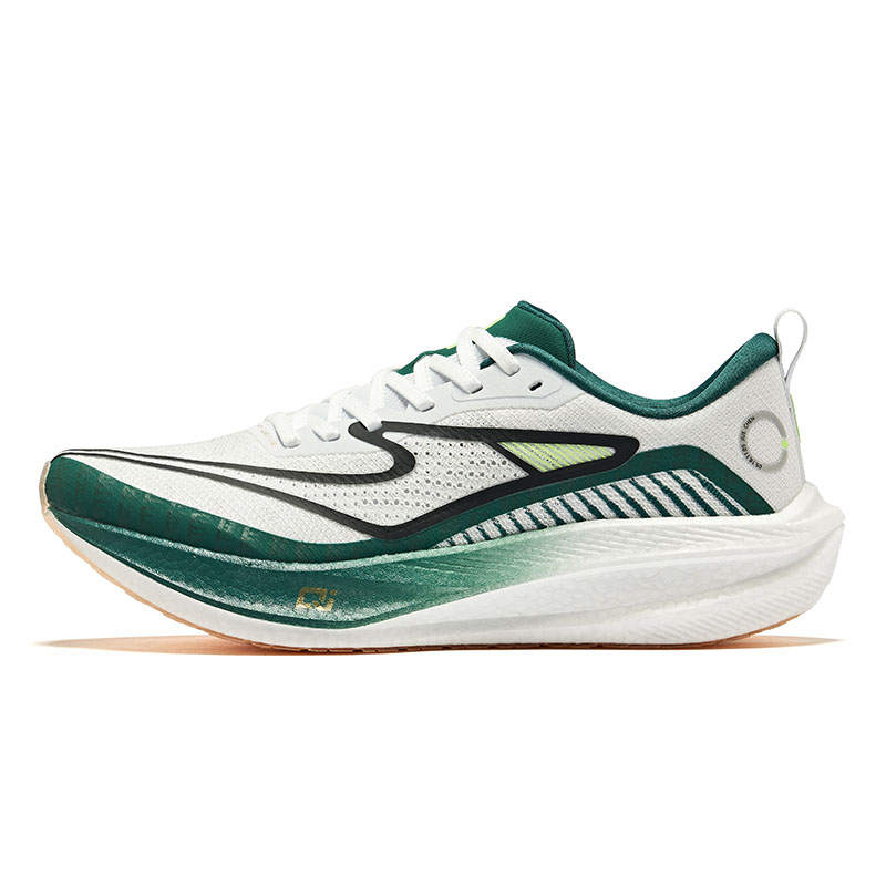 Erke Dust 3.0 Low top Long Distance Running Sprint Running Shoes Men's China Mainland Colorway