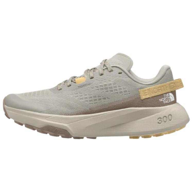THE NORTH FACE Altamesa 300 Running Shoes Women's Gray