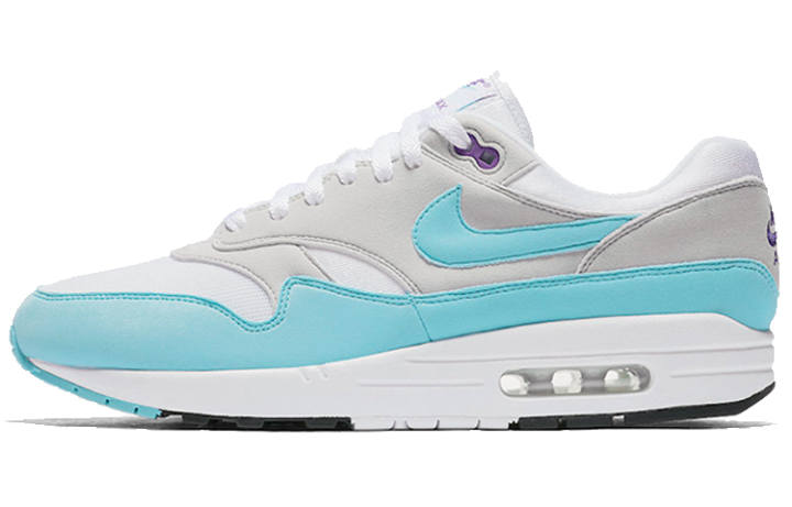 Nike Nike Air Max 1 Anniversary Aqua