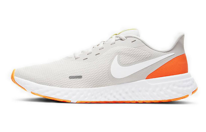 Nike Nike Revolution 5 Platinum Tint