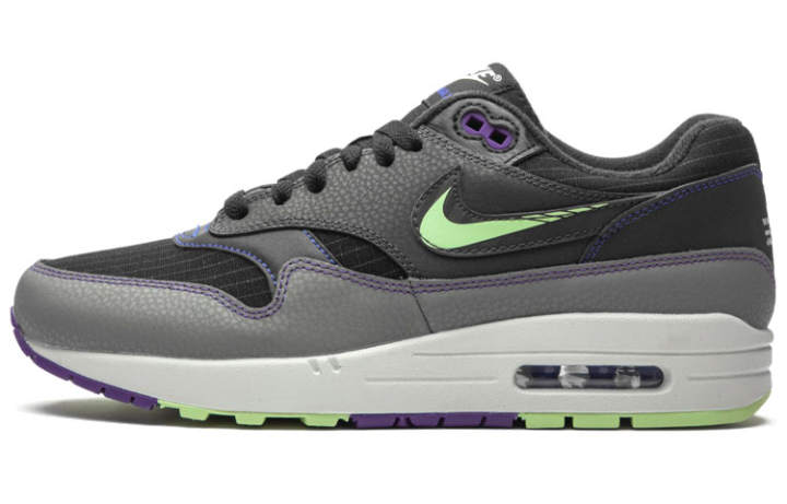 Nike Nike Air Max 1 'Future Swoosh'