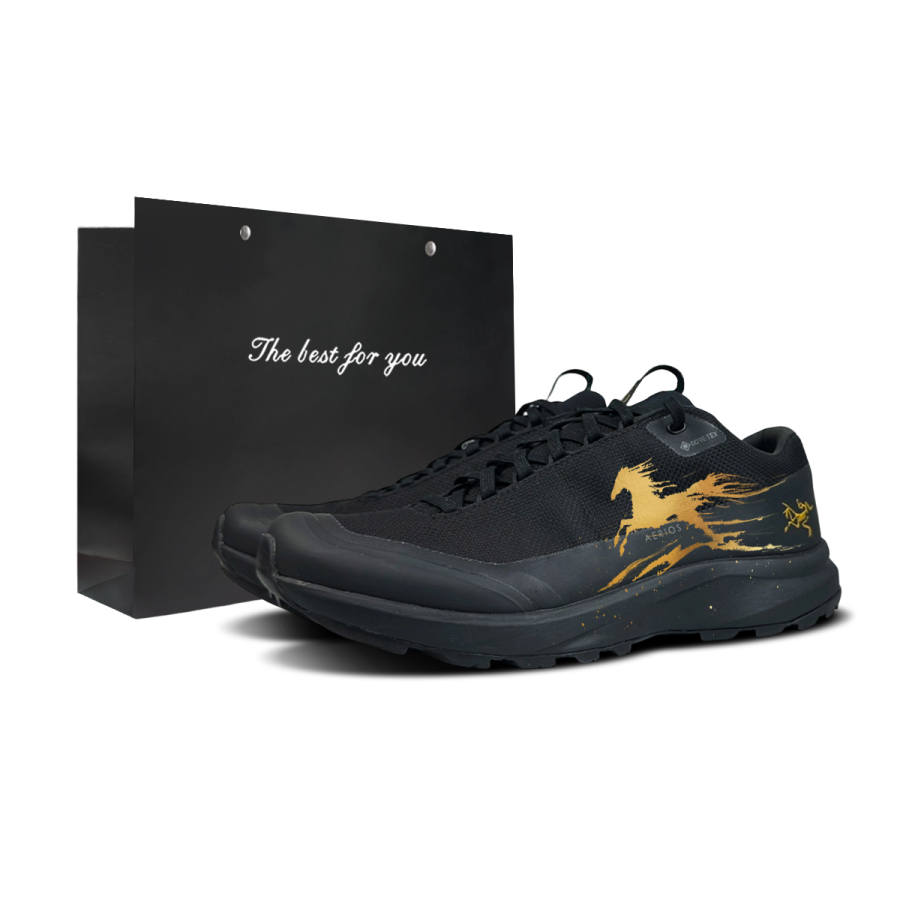 Arcteryx Arc'teryx Aerios FL Abrasion Resistant Waterproof Lightweight Low top Outdoor Shoes Unisex