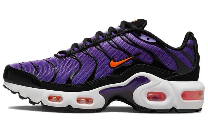 Nike Nike Air Max Plus Og Voltage Purple 2024 GS