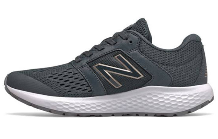 New Balance New Balance 520 V5 Navy Women's