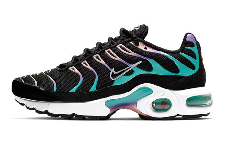 Nike Air Max Plus 'Have A Nike Day' GS
