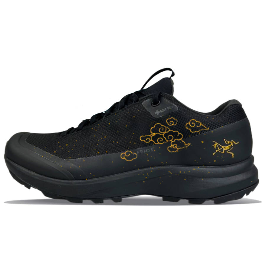 Arcteryx Arc'teryx Aerios Fl 2 Fabric Abrasion Resistant Low top Outdoor Shoes Unisex Black