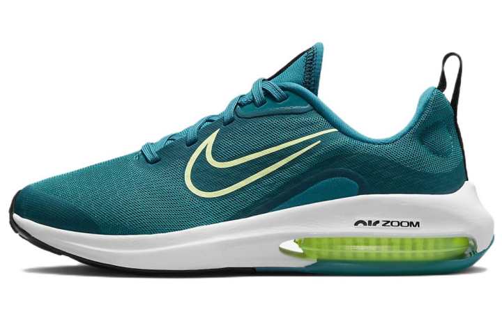 Nike Nike Air Zoom Arcadia 2 Gs