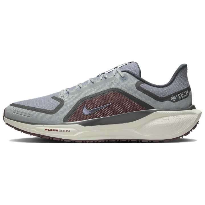 Nike Nike Air Zoom Pegasus 41 Gore Tex Light Pumice Burgandy Crush