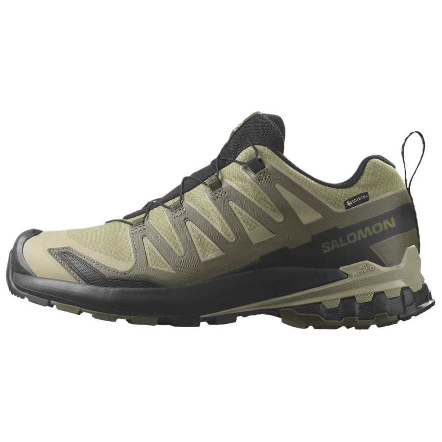 SALOMON Xa Pro 3D V9 Salomon GORE-TEX 'Dried Herb Black'