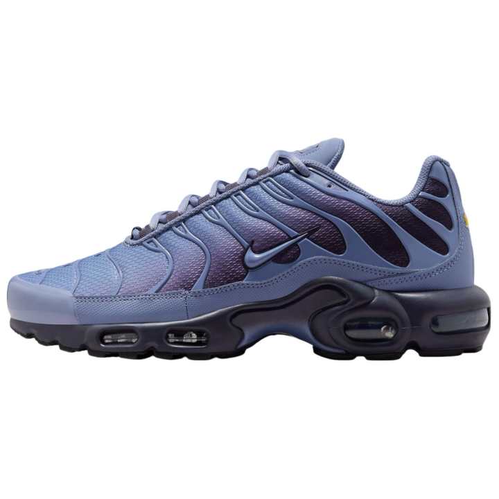 Nike Nike Air Max Plus Breathable Low top Running Shoes Men's Blue