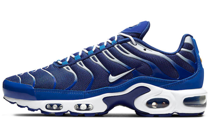 Nike Nike Air Max Plus Arctic Chill