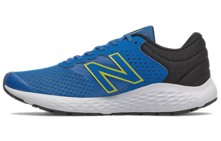New Balance New Balance 420 V2 Low Top Blue