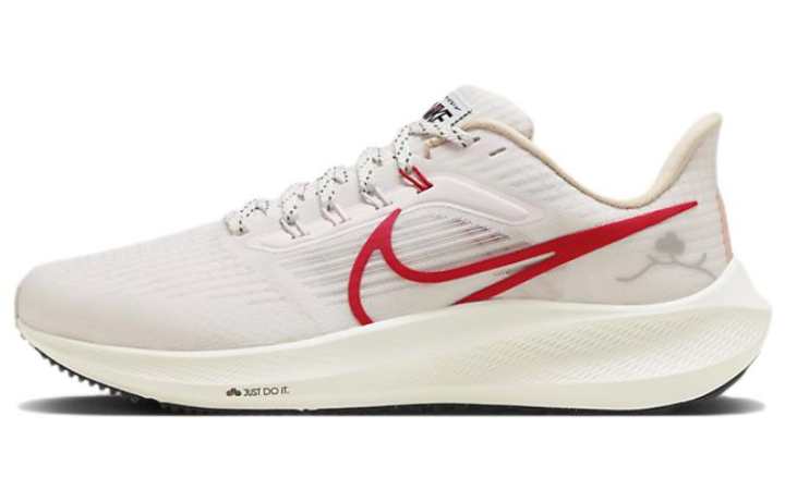 Nike Nike Air Zoom Pegasus 39 ' Chinese New Year ' Women's
