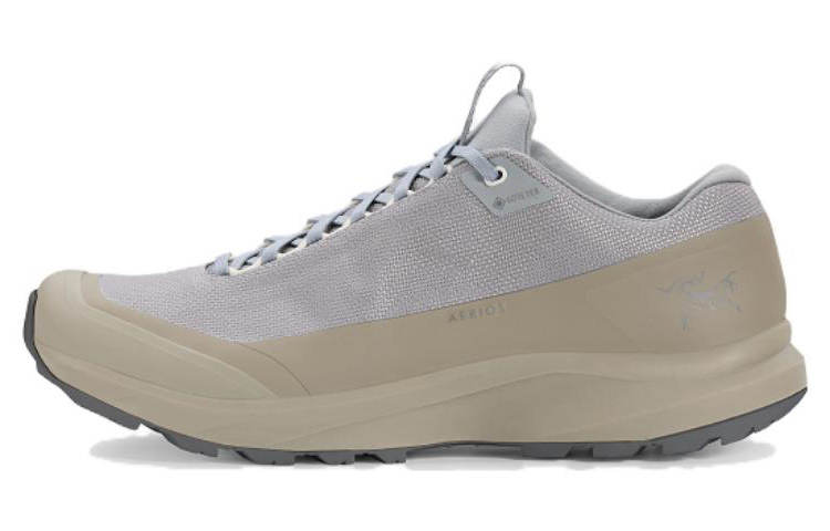 Arcteryx Arc'teryx Aerios Fl 2 GTX Wear resistant And Lightweight Low top Outdoor Shoes Unisex Gray