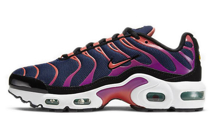 Nike Nike Air Max Plus 'Blue Void Magic Ember' Gs