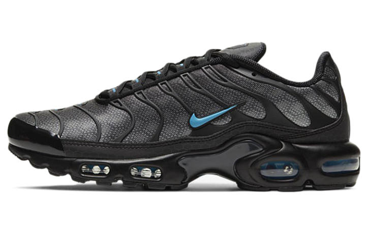 Nike Nike Air Max Plus Black Hex
