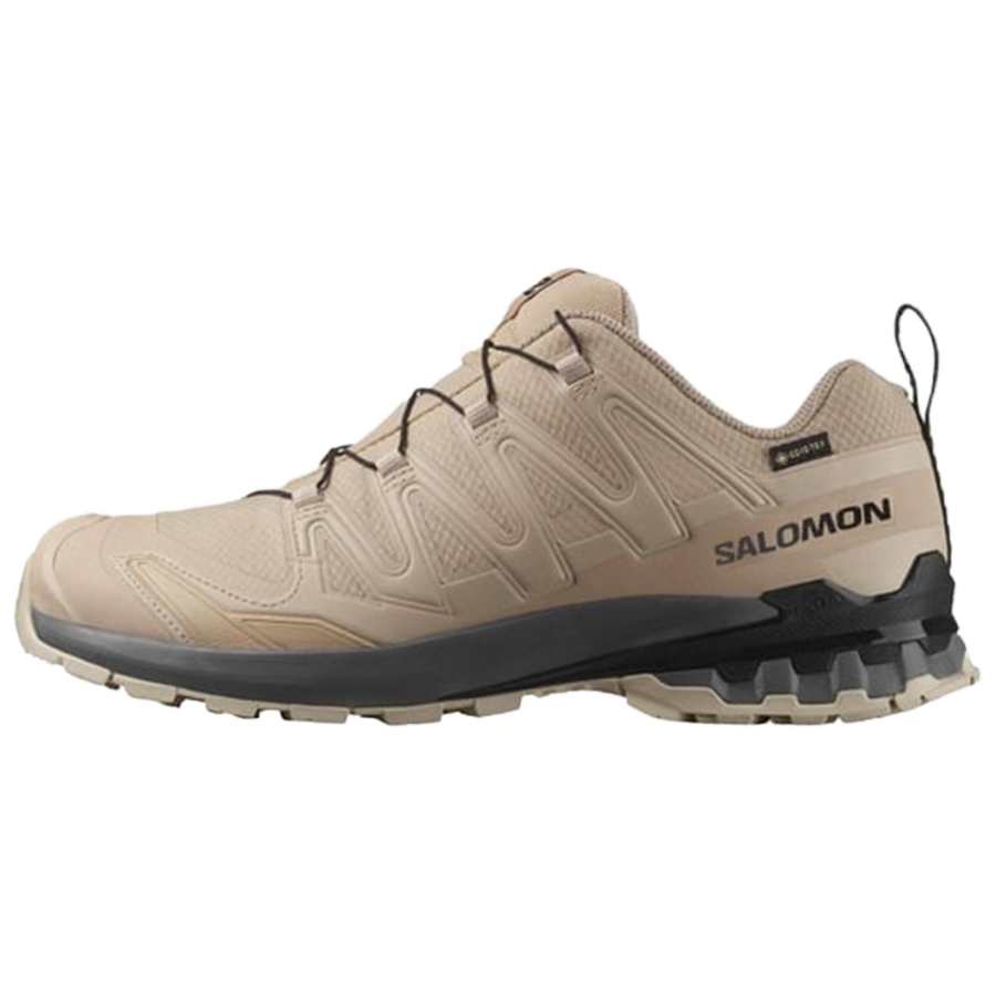 SALOMON XA Pro 3D V9 Mountaineering Shoes Men's Brown