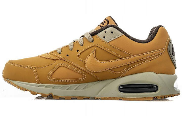 Nike Nike Air Max Ivo Brown