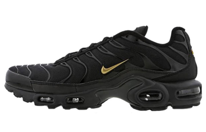 Nike Nike Air Max Plus Black Gold