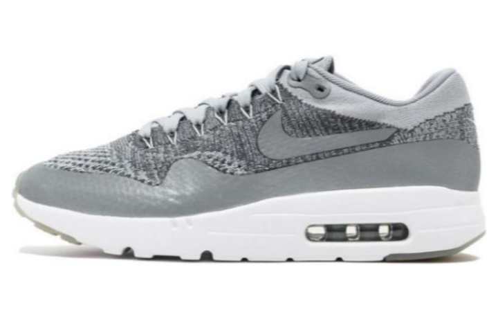 Nike Nike Air Max 1 Ultra Wolf Grey