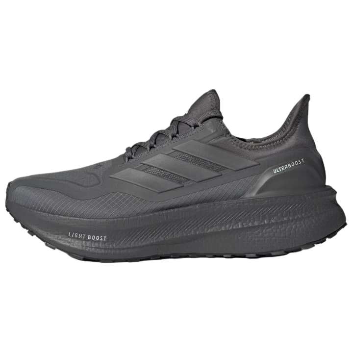 Adidas Adidas Ultraboost 5 GORE-TEX 'Grey Wonder Silver'