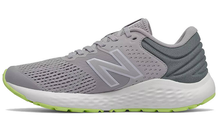 New Balance New Balance 520 V7 Gray Women's