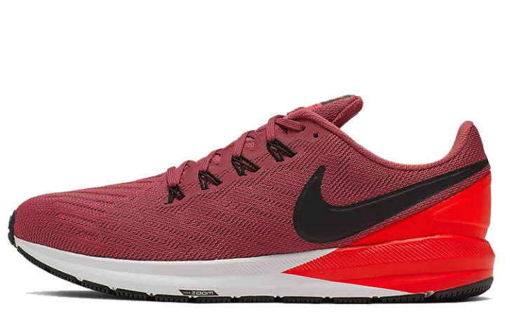 Nike Nike Air Zoom Structure 22 'Cedar'