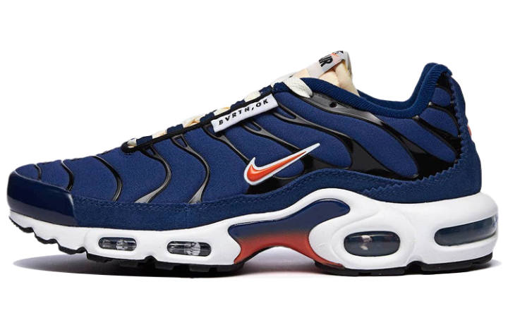 Nike Nike Air Max Plus Se Air Max Running Club
